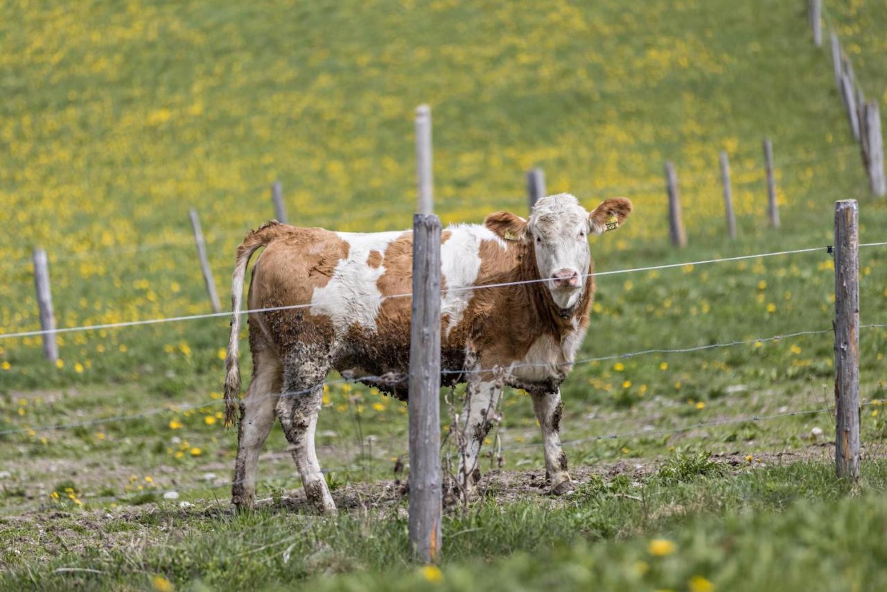 Ferienwohnung Gitschbergblick Terento Kültér fotó